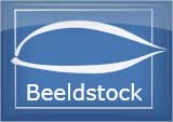 logobadge