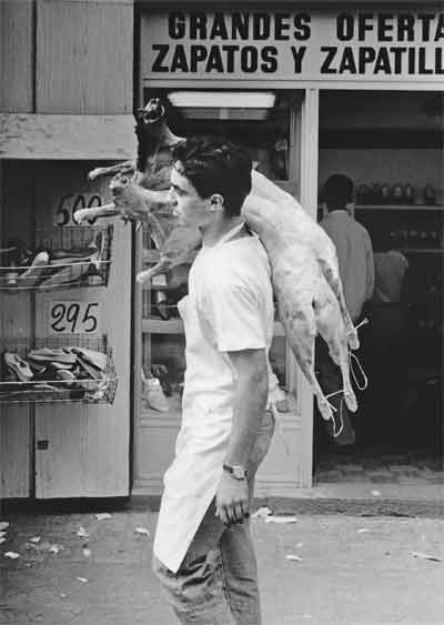reportage fotografie